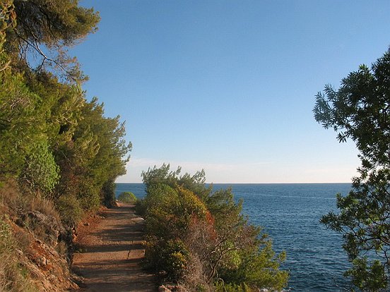 LE SENTIER DES DOUANIERS AU CAP MARTIN - Le pêle mêle du Comté de Nice en Images