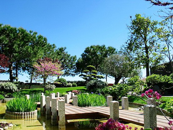 LE JARDIN JAPONAIS A MONACO - Le pêle mêle du Comté de Nice en Images