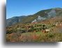 Voir la Photo L'AUTOMNE A VALDEBLORE