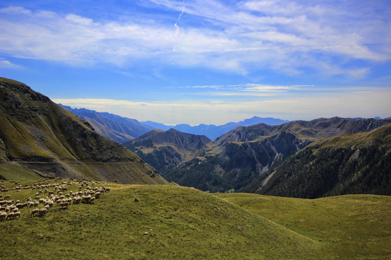 Photo du jour