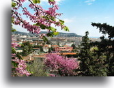 SAINT PIERRE DE FERIC