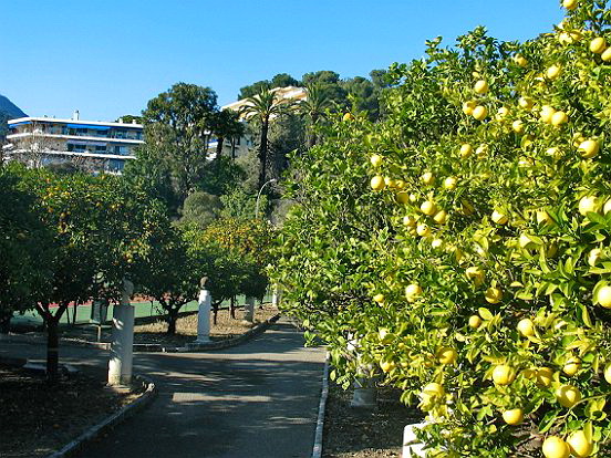 MENTON