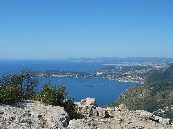 LA TETE DE CHIEN