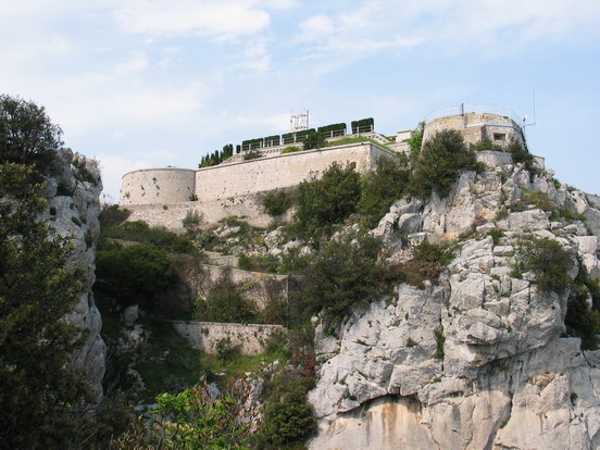 LA TETE DE CHIEN