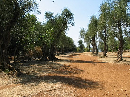 Le GR 5 de NICE à ASPREMONT