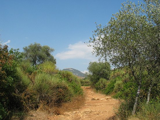 Le GR 5 de NICE à ASPREMONT