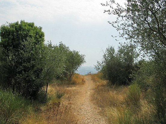 Le GR 5 de NICE à ASPREMONT