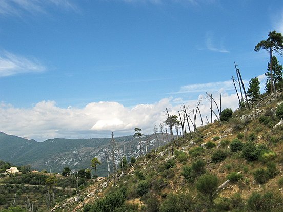 Le GR 5 de NICE à ASPREMONT