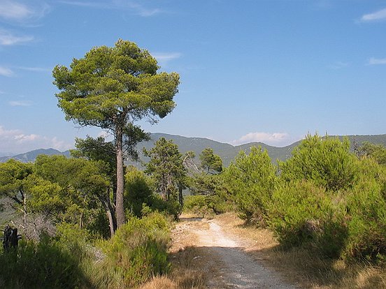 LE GR5 D'ASPREMONT A LEVENS