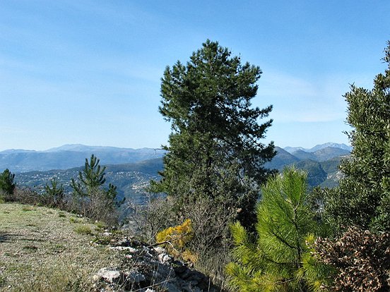 LE PLATEAU DE LA JUSTICE