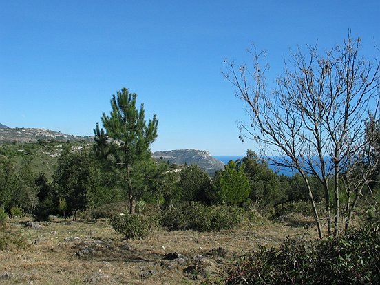 LE PLATEAU DE LA JUSTICE