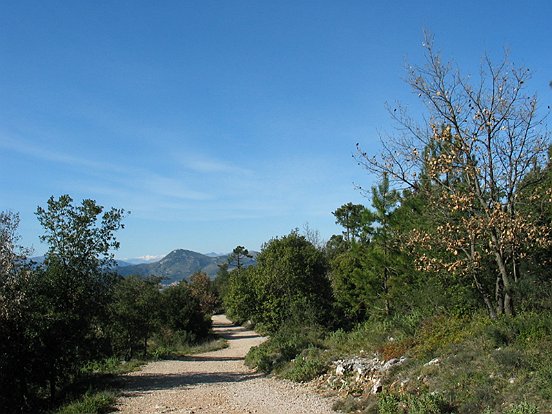 LE PLATEAU DE LA JUSTICE