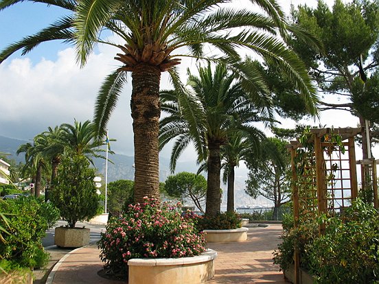 LE SENTIER DU LITTORAL AU CAP FERRAT