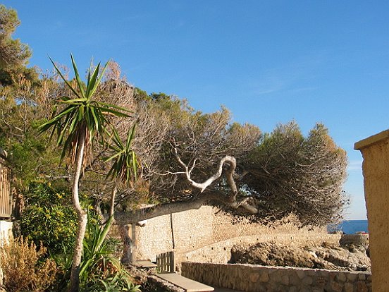 LE SENTIER DU LITTORAL DE CAP D'AIL A MONACO