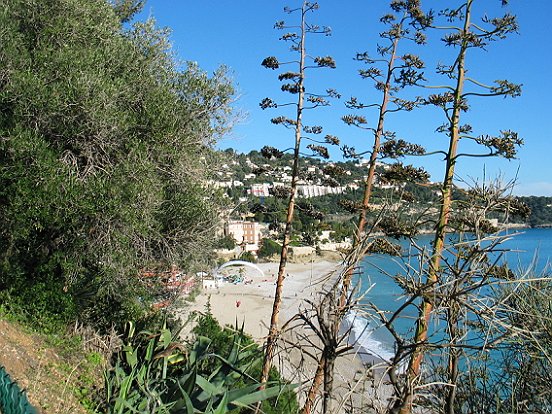 LE SENTIER DU LITTORAL DE MONACO A ROQUEBRUNE