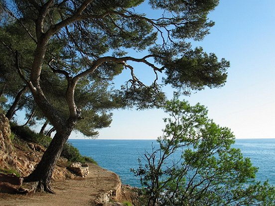 LE SENTIER DU LITTORAL DE MONACO A ROQUEBRUNE