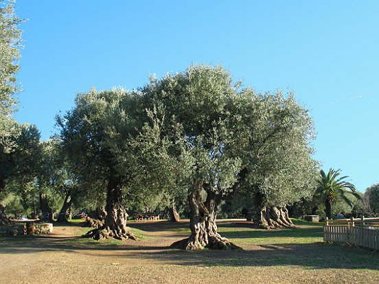 LE SENTIER DU LITTORAL DE MONACO A ROQUEBRUNE