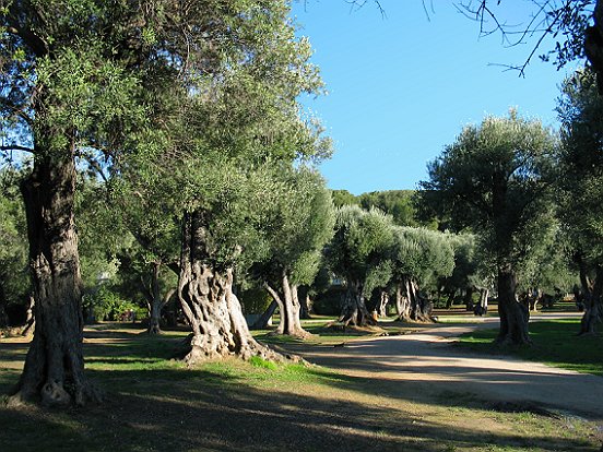 LE SENTIER DU LITTORAL DE MONACO A ROQUEBRUNE