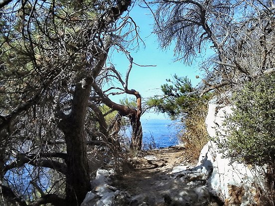 LE SENTIER DU LITTORAL DE NICE A VILLEFRANCHE