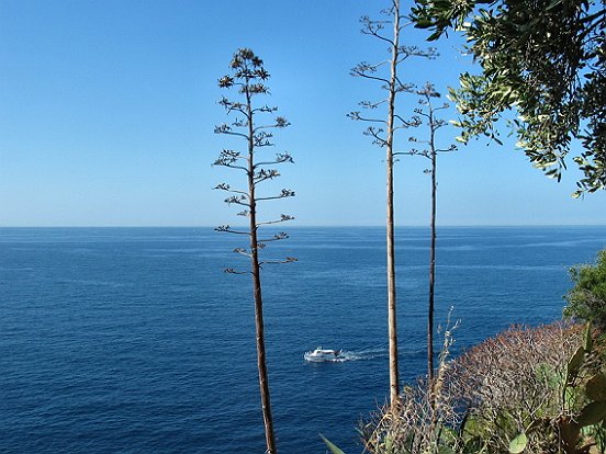 LE SENTIER DU LITTORAL DE NICE A VILLEFRANCHE