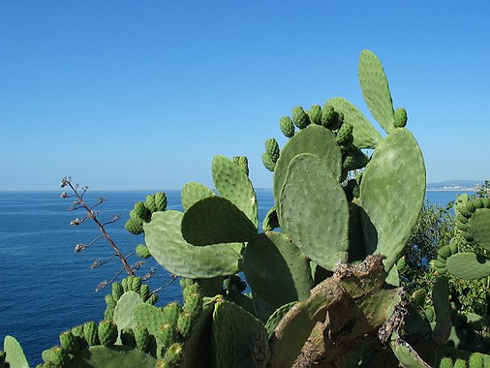 LE SENTIER DU LITTORAL DE NICE A VILLEFRANCHE