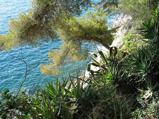 LE SENTIER DU LITTORAL DE NICE A VILLEFRANCHE