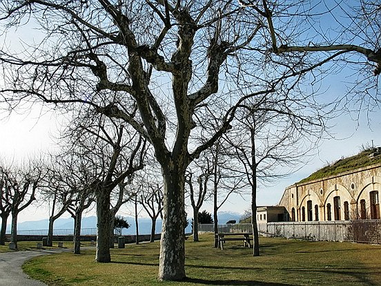 PARC DEPARTEMENTAL DE LA REVERE