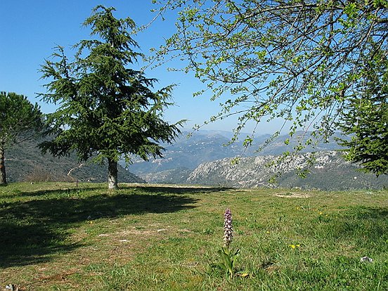 PARC DEPARTEMENTAL DE LA REVERE