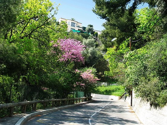 NICE, COLLINE DE SAINT PIERRE DE FERIC