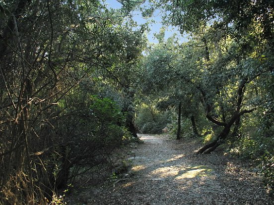 LA COLLINE DE GAIRAUT