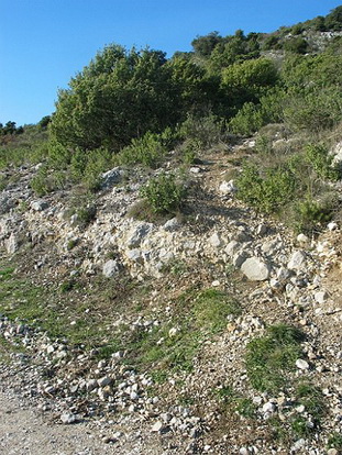 ASPREMONT, LE MONT BARRI