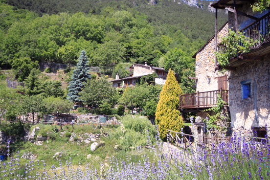 GRANILE