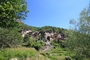 Voir la photo