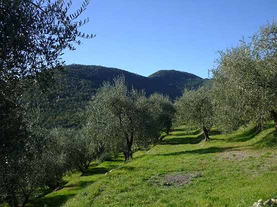 VIEUX PIERREFEU