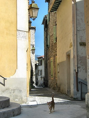 LA ROQUETTE SUR VAR - VILLAGE PERCHE