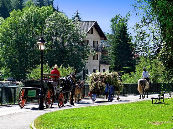 SAINT ETIENNE DE TINEE, LA TRANSHUMANCE