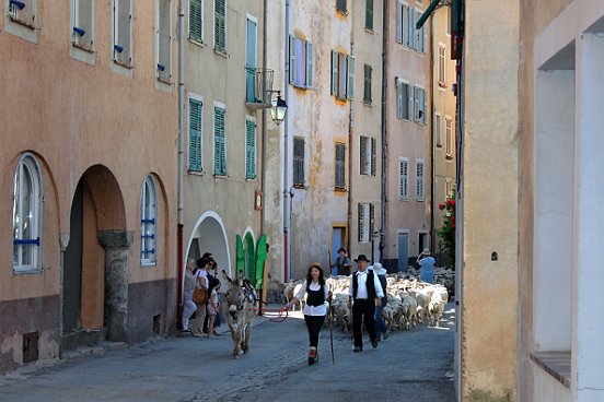 SAINT ETIENNE DE TINEE, LA TRANSHUMANCE