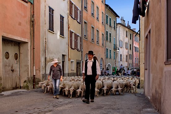 SAINT ETIENNE DE TINEE, LA TRANSHUMANCE