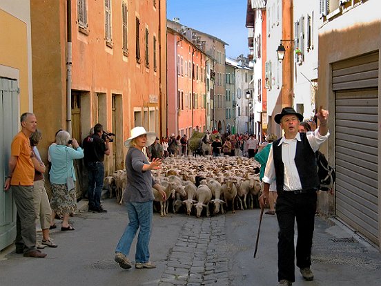 SAINT ETIENNE DE TINEE, LA TRANSHUMANCE