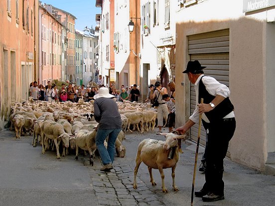 SAINT ETIENNE DE TINEE, LA TRANSHUMANCE