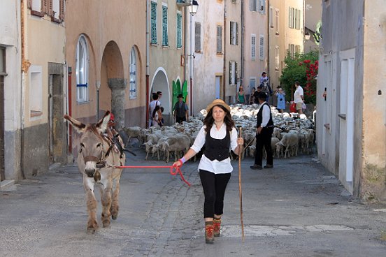 SAINT ETIENNE DE TINEE, LA TRANSHUMANCE