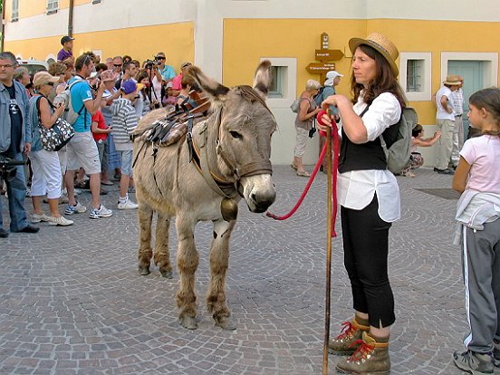 SAINT ETIENNE DE TINEE, LA TRANSHUMANCE