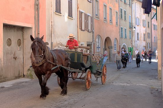 SAINT ETIENNE DE TINEE, LA TRANSHUMANCE