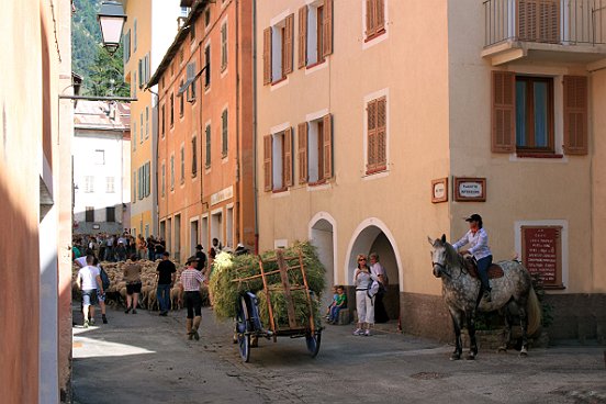 SAINT ETIENNE DE TINEE, LA TRANSHUMANCE