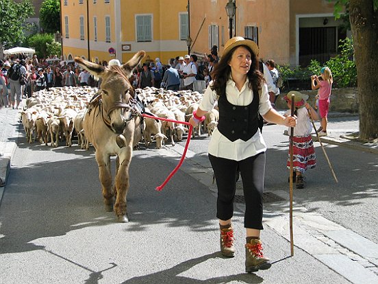 SAINT ETIENNE DE TINEE, LA TRANSHUMANCE