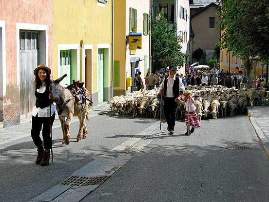 SAINT ETIENNE DE TINEE, LA TRANSHUMANCE