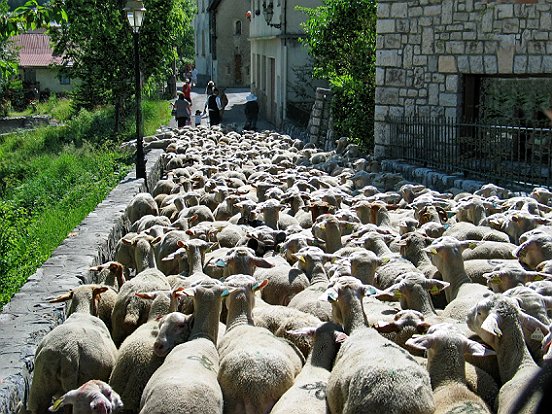 SAINT ETIENNE DE TINEE, LA TRANSHUMANCE