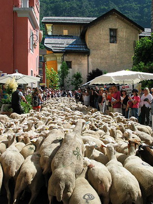 SAINT ETIENNE DE TINEE, LA TRANSHUMANCE