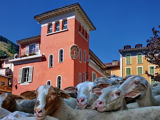 SAINT ETIENNE DE TINEE, LA TRANSHUMANCE