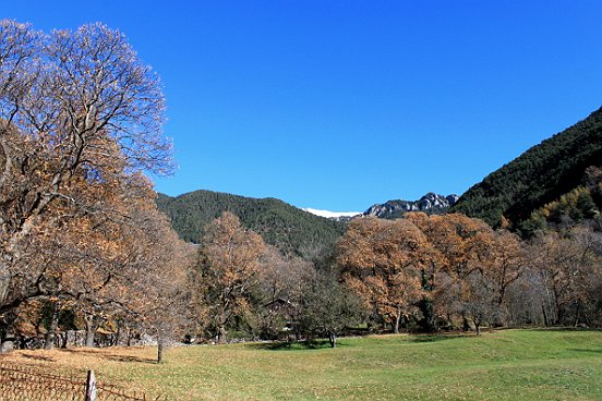 VALDEBLORE-LA BOLLINE